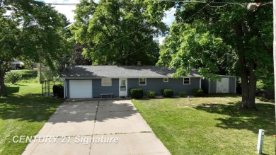 Lake Home For Sale in Beaverton, Michigan