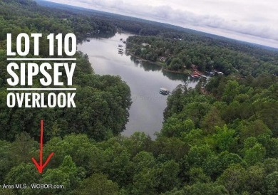 Lake Lot For Sale in Double Springs, Alabama