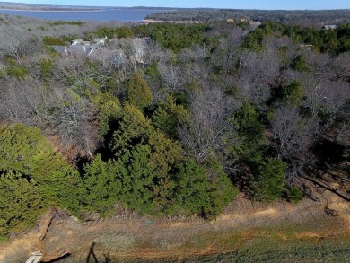 JUST TWO BLOCKS FROM LAKE TEXOMA. Great interior lot on almost a - photo 2