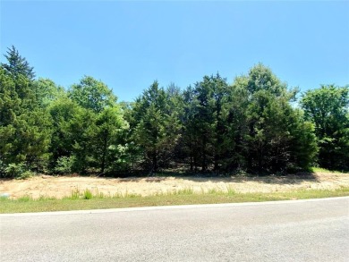JUST TWO BLOCKS FROM LAKE TEXOMA. Great interior lot on almost a - photo 3