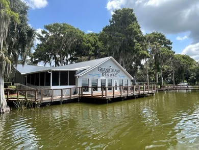 Lake Eustis Home For Sale in Grand Island Florida