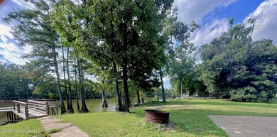 Welcome to Wolf Lake living at its finest! Conveniently located - photo 22