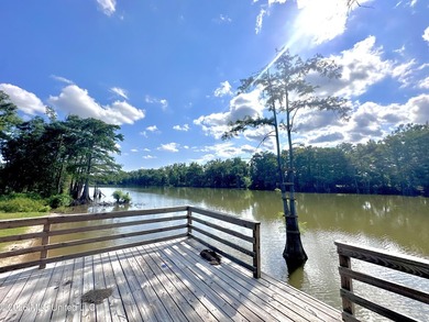 Welcome to Wolf Lake living at its finest! Conveniently located - photo 25