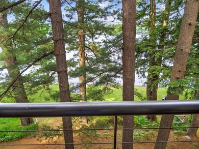 Great Pond Waterfront -- Unmatched Location & Sunset Views Rare - photo 45