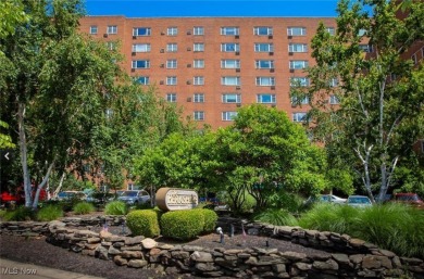 Lake Condo For Sale in Lakewood, Ohio