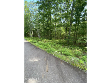 Lake Lot For Sale in Tafton, Pennsylvania