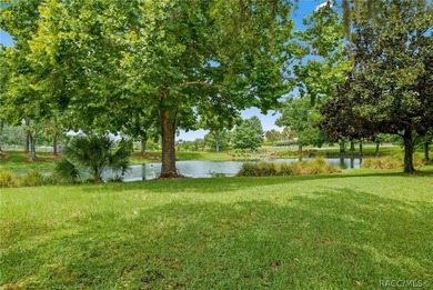 Welcome to maintenance-free living in one of Citrus County's - photo 39