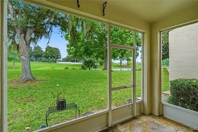 Welcome to maintenance-free living in one of Citrus County's - photo 40