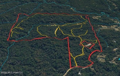 Discover an exceptional 295+/- acre recreational and hunting - photo 1