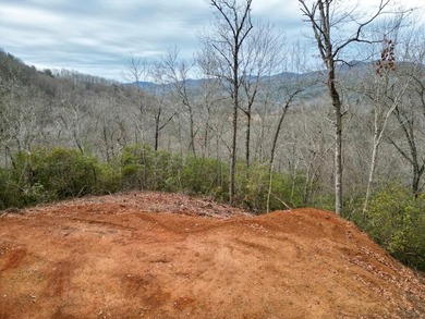 Valley River Lot For Sale in Marble North Carolina
