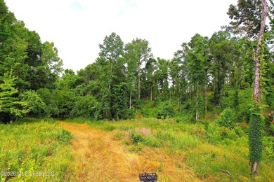Discover an exceptional 295+/- acre recreational and hunting - photo 2