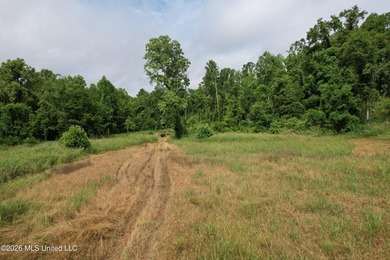 Discover an exceptional 295+/- acre recreational and hunting - photo 3