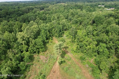 Discover an exceptional 295+/- acre recreational and hunting - photo 4