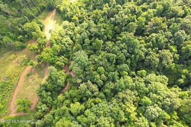 Discover an exceptional 295+/- acre recreational and hunting - photo 5