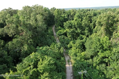 Discover an exceptional 295+/- acre recreational and hunting - photo 6