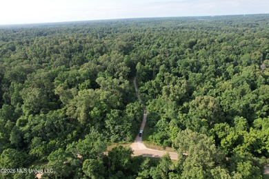 Discover an exceptional 295+/- acre recreational and hunting - photo 7