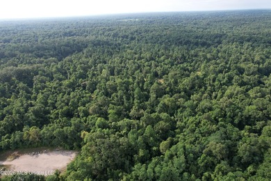Discover an exceptional 295+/- acre recreational and hunting - photo 8