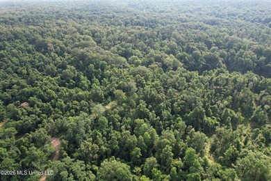 Discover an exceptional 295+/- acre recreational and hunting - photo 9