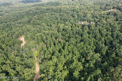 Discover an exceptional 295+/- acre recreational and hunting - photo 10