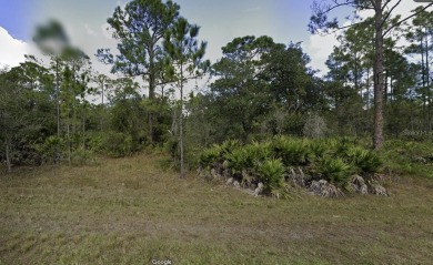 Lake Lot For Sale in Indian Lake Estates, Florida