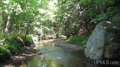 Lake Superior - Marquette County Acreage For Sale in Marquette Michigan