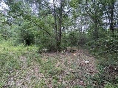 2.1 acres of Prime Location Property minutes from Local shopping - photo 3