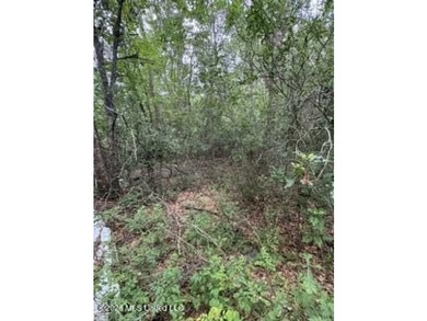 2.1 acres of Prime Location Property minutes from Local shopping - photo 5