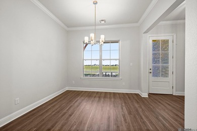 Charming *Duplessis* floor plan by Level Homes, underway in - photo 20