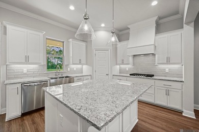 Charming *Duplessis* floor plan by Level Homes, underway in - photo 24