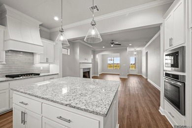 Charming *Duplessis* floor plan by Level Homes, underway in - photo 27
