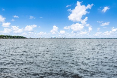 Perched along prestigious Ortega Boulevard, this stunning - photo 9