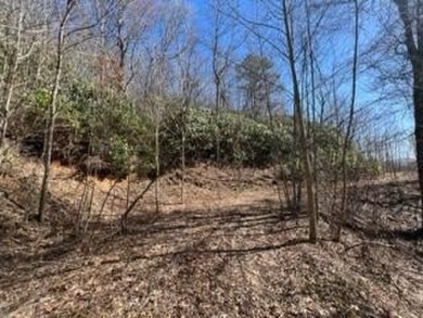 Nice Mountain Lot with Great views, easy access. roughed in - Lake Lot For Sale in Topton, North Carolina