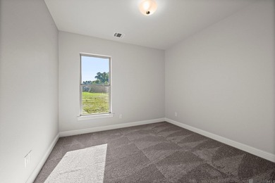Charming *Duplessis* floor plan by Level Homes, underway in - photo 32