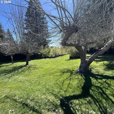 Beautiful Classic Ranch on 1.09 Private Acres - Timeless - photo 34