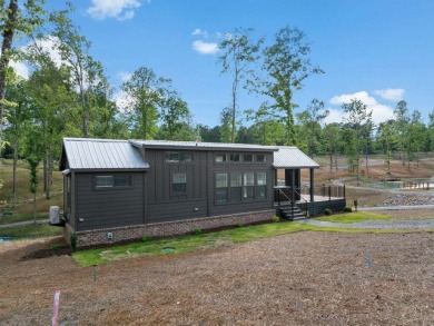 Welcome to The Cottages at Smith Lake - A Luxury Tiny Home - photo 4