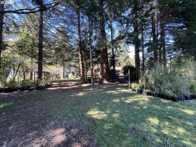 Beautiful Classic Ranch on 1.09 Private Acres - Timeless - photo 37