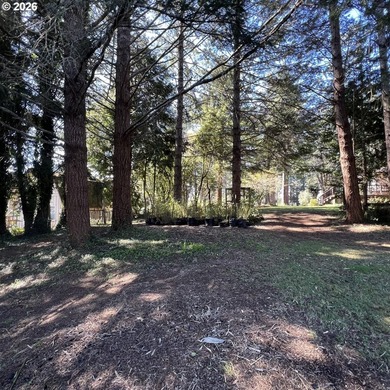 Beautiful Classic Ranch on 1.09 Private Acres - Timeless - photo 39
