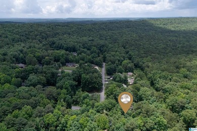Welcome to Rock Mountain Drive's newest listing, a stunning - photo 40