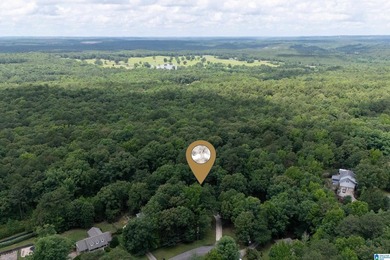 Welcome to Rock Mountain Drive's newest listing, a stunning - photo 42