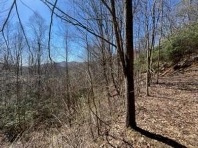 Nice Mountain Lot with Great views, easy access. roughed in - Lake Lot For Sale in Topton, North Carolina