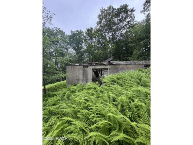 Lake Lot For Sale in Dingmans Ferry, Pennsylvania