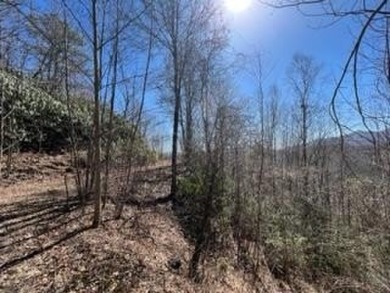 Nice Mountain Lot with Great views, easy access. roughed in - Lake Lot For Sale in Topton, North Carolina