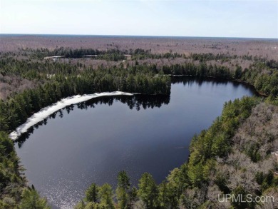 Lake Acreage For Sale in Seney, Michigan