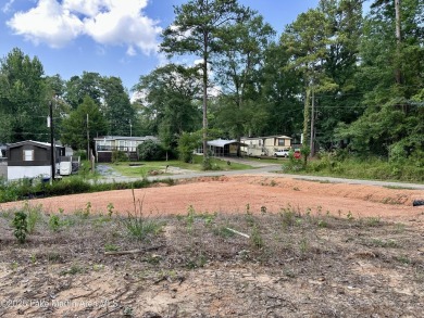 Lake Lot For Sale in Eclectic, Alabama