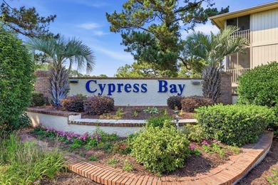 Welcome to this beautiful first floor end unit condo at Cypress - photo 25