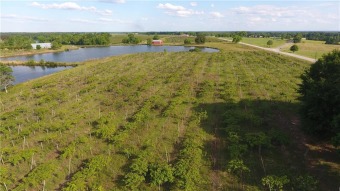 (private lake, pond, creek) Acreage For Sale in Notasulga Alabama