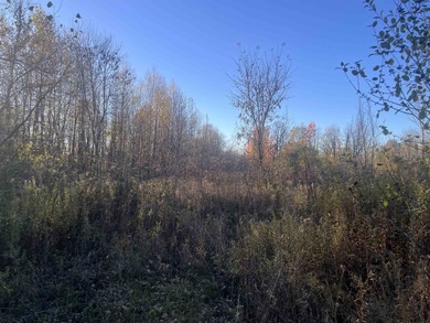 (private lake, pond, coastal) Lot For Sale in Brasher Falls New York