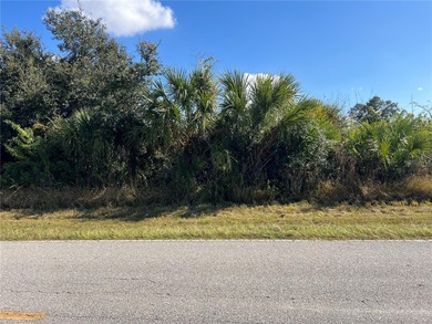 Port Charlotte Waterway Lakes Area Lot Sale Pending in Port Charlotte Florida