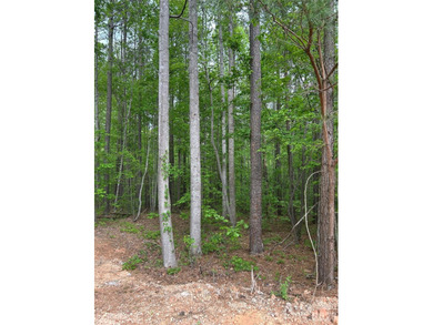 Lake Norman Lot For Sale in Denver North Carolina