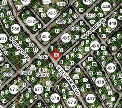 Buildable Lot in Citrus Springs presenting an excellent - photo 3